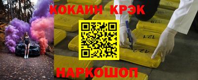 гашик Кингисепп