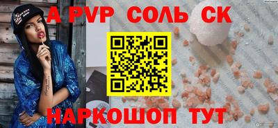 гашик Кингисепп