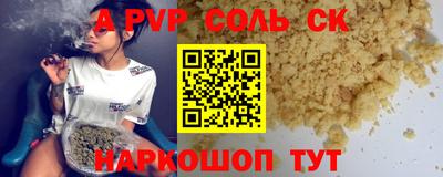 гашик Кингисепп