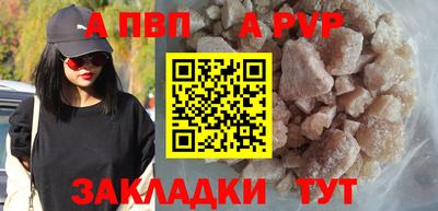 гашик Кингисепп
