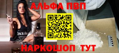 гашик Кингисепп