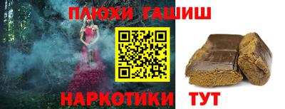 гашик Кингисепп