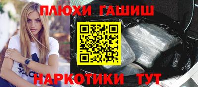 гашик Кингисепп