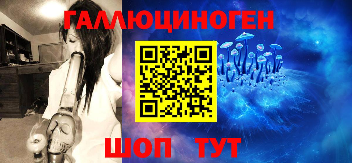 Кудрово  Галлюциногенные грибы Cubensis  Вход с VPN 